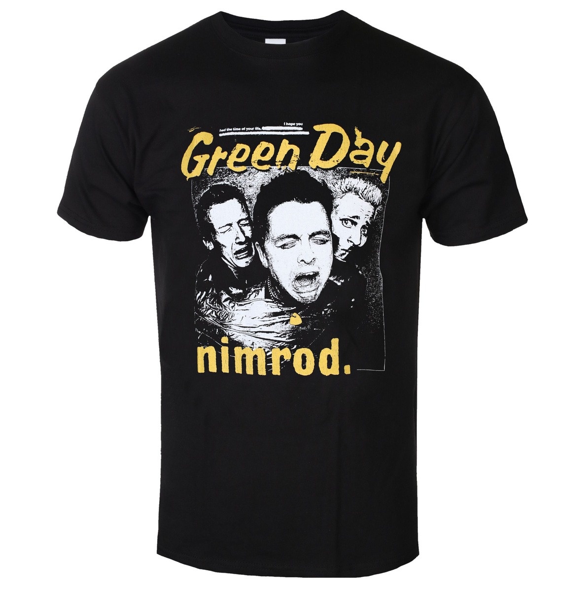 Green Day Distressed Faded Ban - Band Tee Faded 90S recensie en prijs