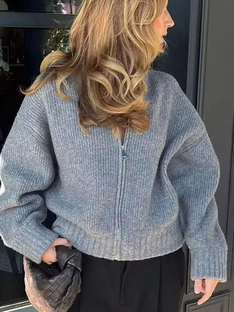 HH Vintage Vrouwen Effen Gebre - Crop Cardigan Vintage recensie en prijs