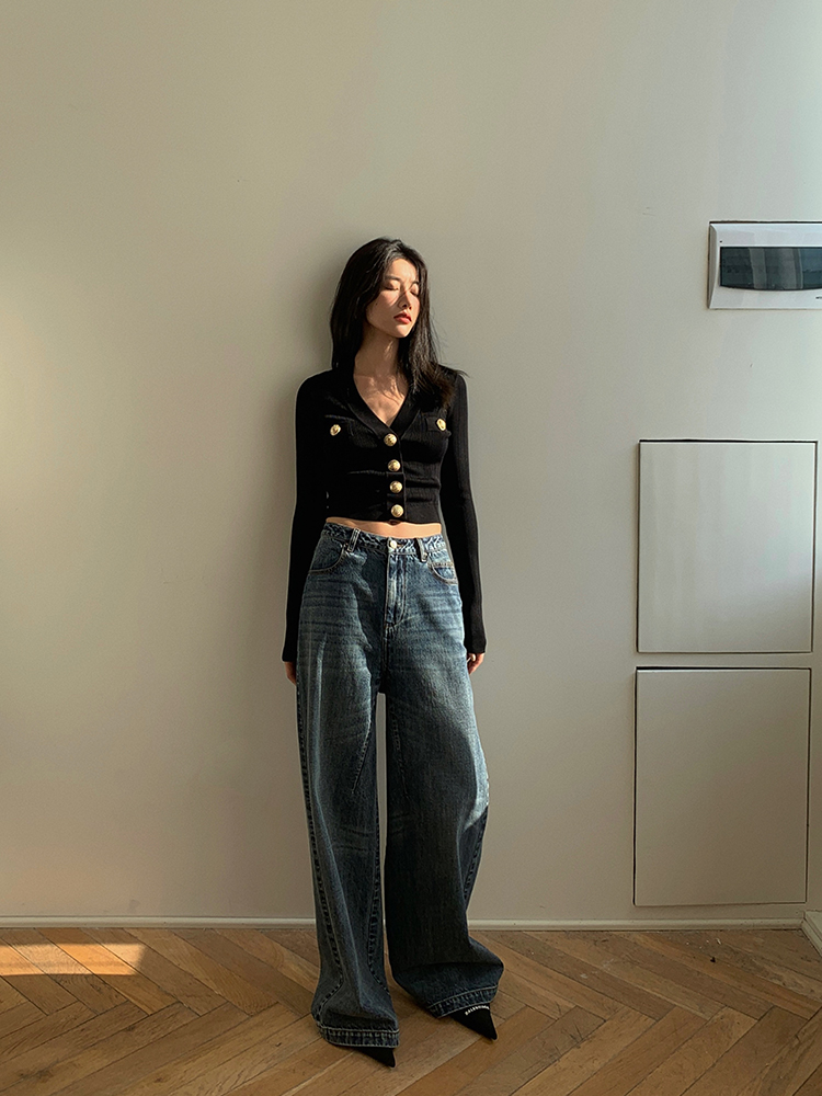 Gouden knop voorkant gebreid v - Crop Cardigan Vintage recensie en prijs